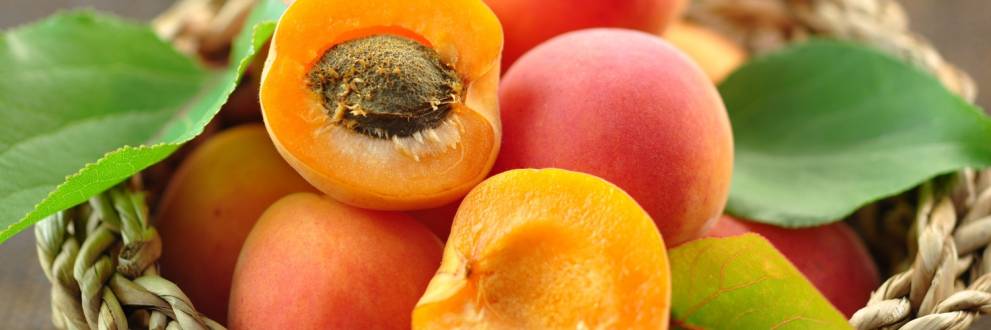 LVEO / Landesverband Erwerbsobstbau